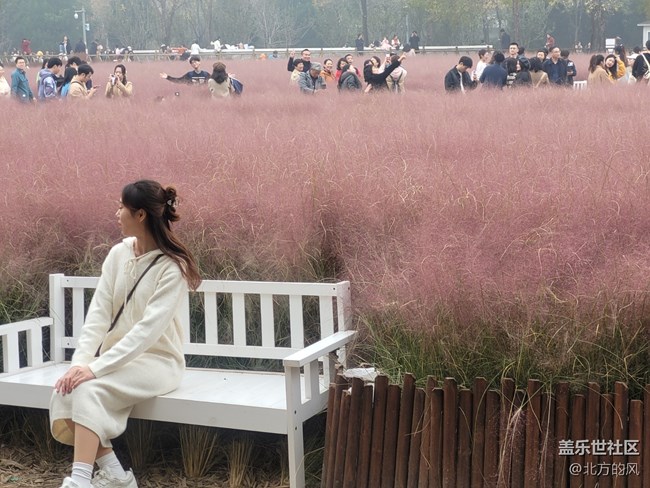 【奧森北園】+用三星手機(jī)留下北國的秋