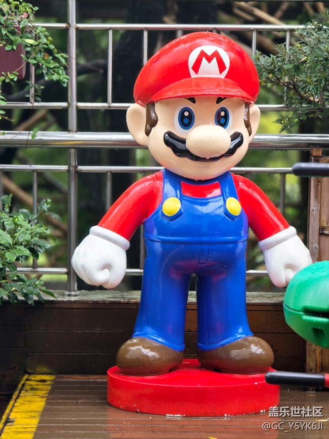 【上海植物園線下攝影活動(dòng)】+植物園里閑逛