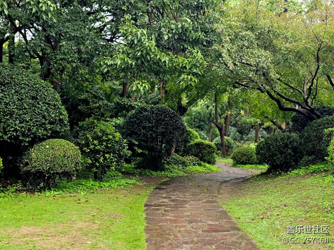 【上海植物園線下攝影活動(dòng)】+植物園里閑逛