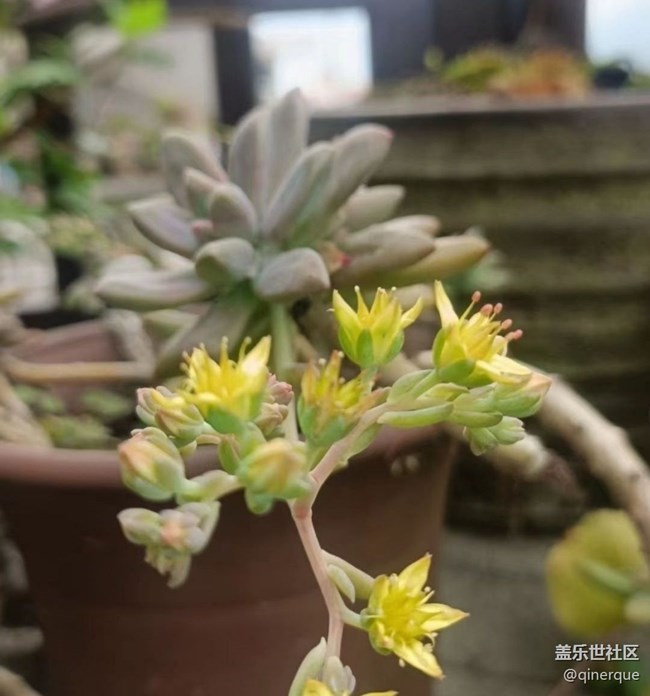 【最美秋色醉人心】秋末