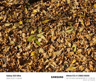 【我眼前的世界】+秋意漸濃