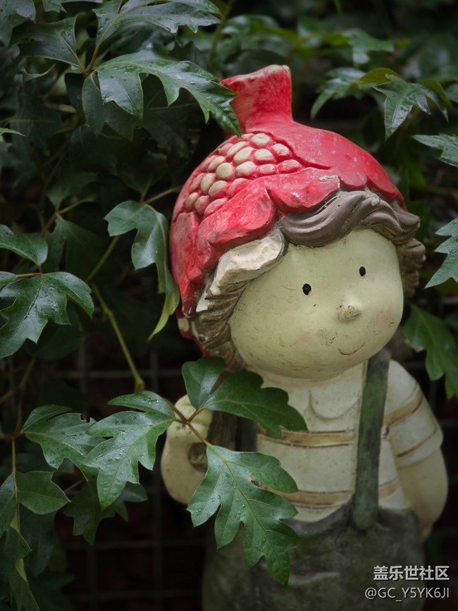 【上海植物園線下攝影活動(dòng)】+植物園里閑逛