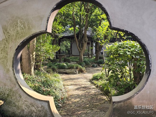 #十月中的小美好——彼岸花