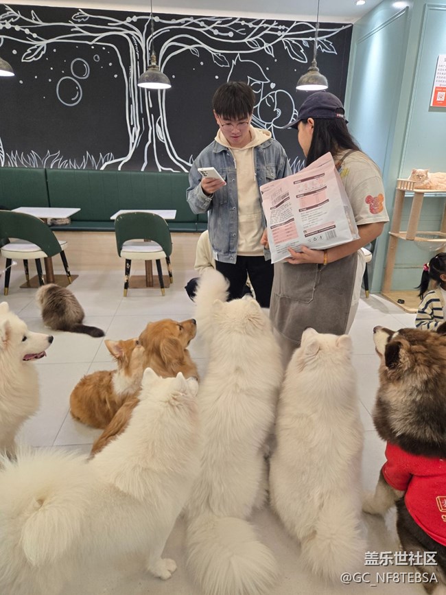 三星星部落貓咖狗咖羊駝擼啊擼