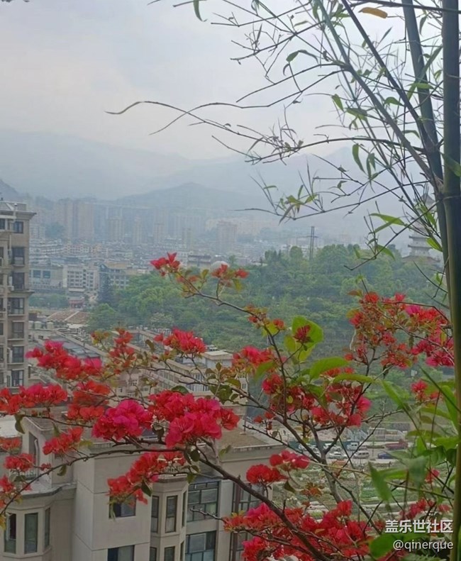 【最美秋色醉人心】秋末