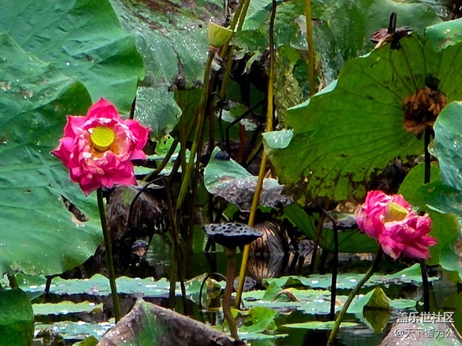 【上海植物園線(xiàn)下攝影活動(dòng)】+活動(dòng)回顧