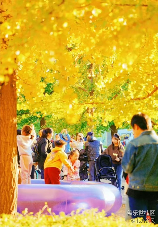 【奧森北園】+用三星手機(jī)留下北國的秋