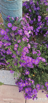 【我眼前的世界】+美麗校園行