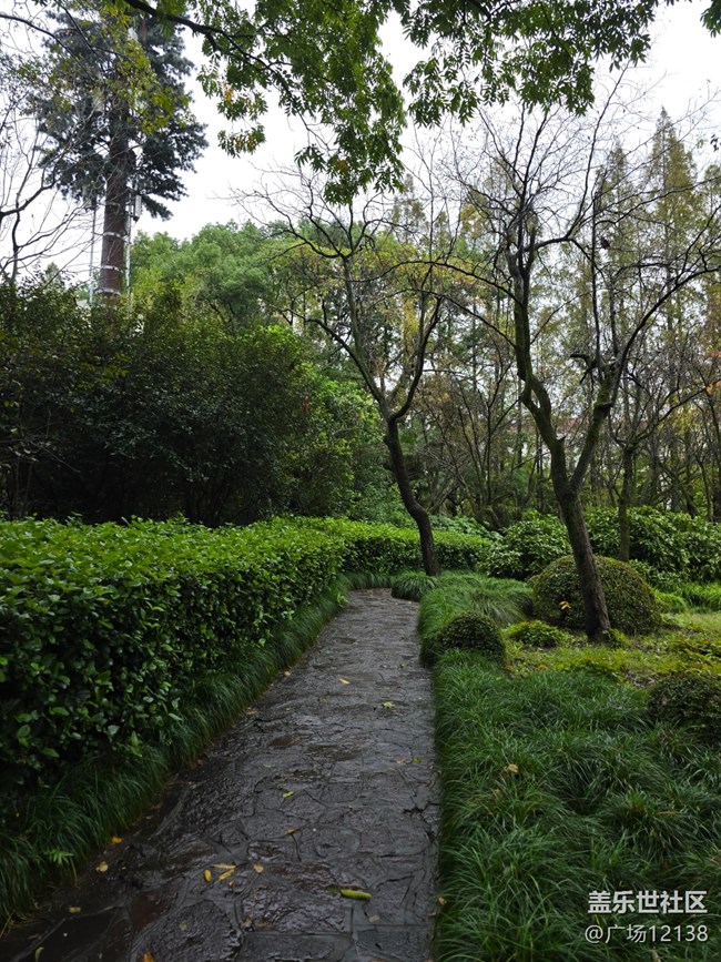 上海植物園線下攝影活動(dòng)回顧