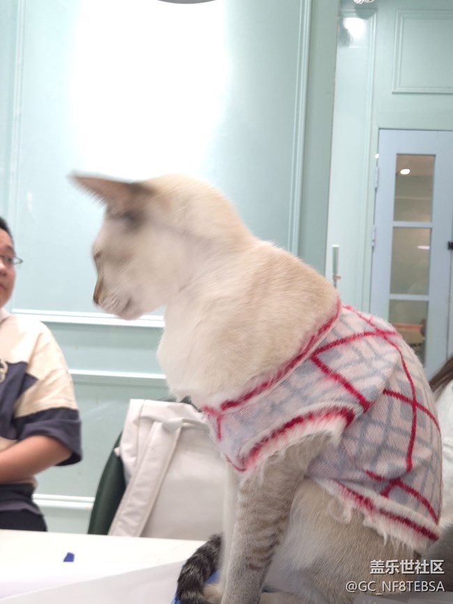 三星星部落貓咖狗咖羊駝擼啊擼