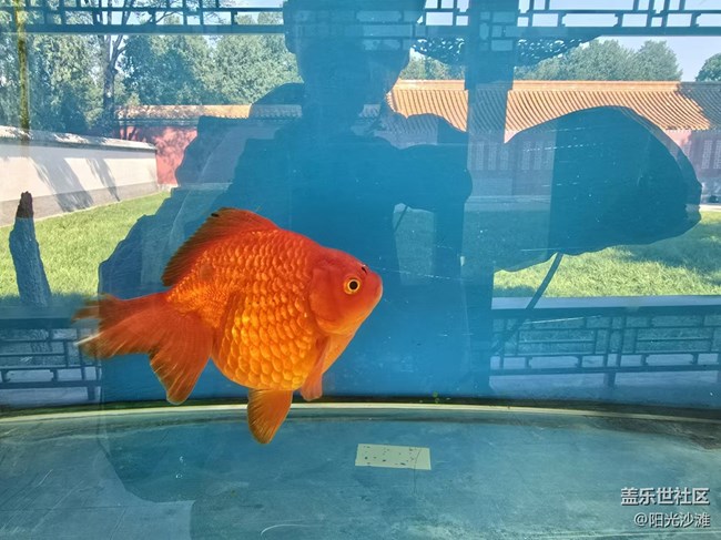 【我和我的祖國】色彩斑斕 千姿百態(tài)