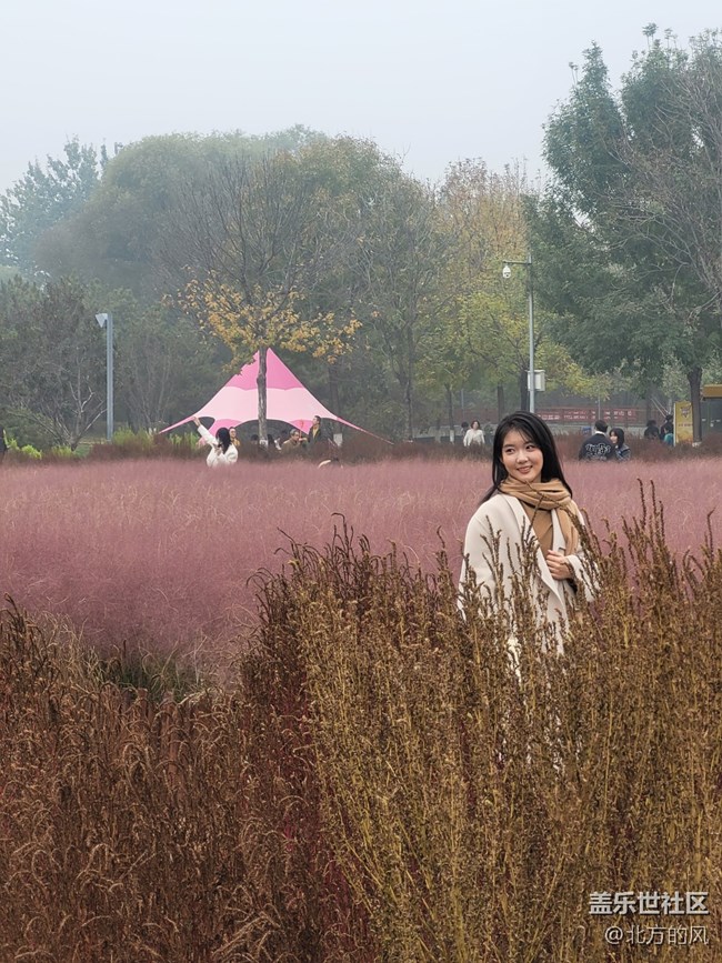 【奧森北園】+用三星手機(jī)留下北國的秋