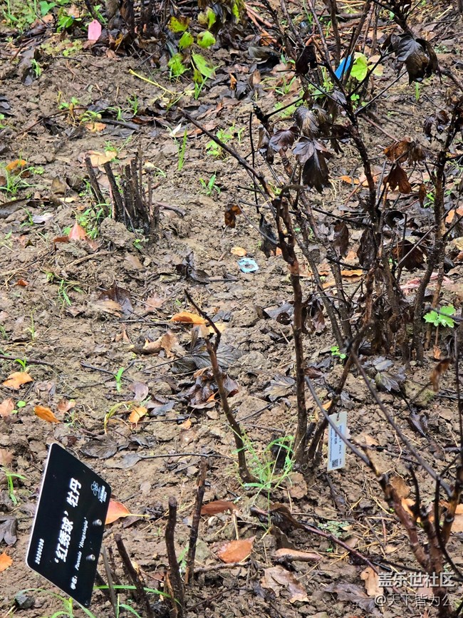 【上海植物園線(xiàn)下攝影活動(dòng)】+活動(dòng)回顧