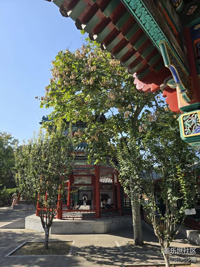 【我和我的祖國】雕梁畫棟古亭美