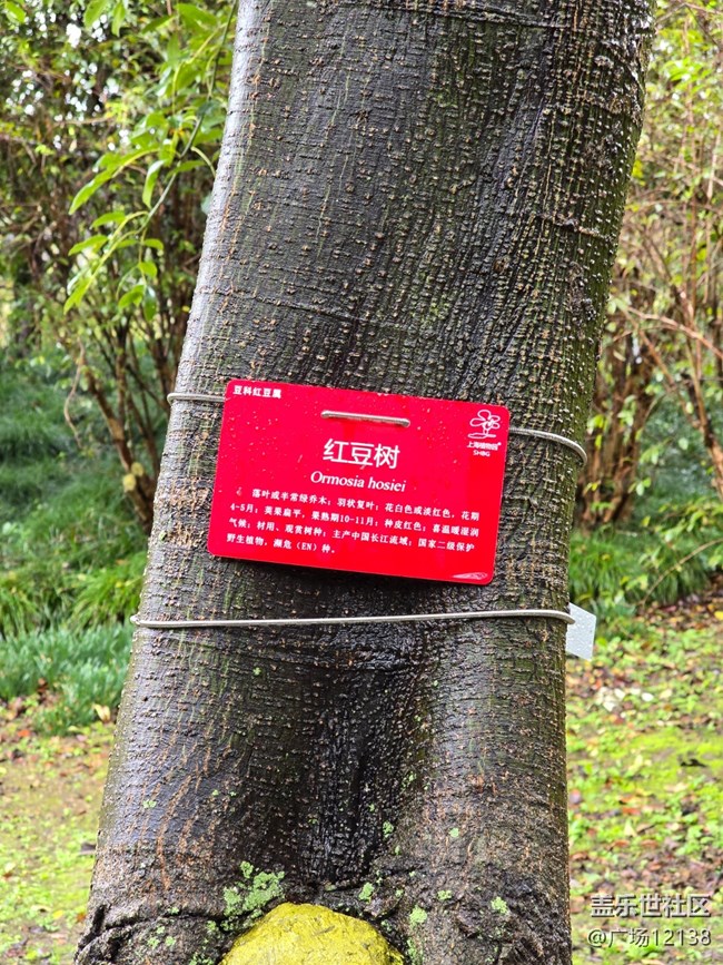 上海植物園線下攝影活動(dòng)回顧