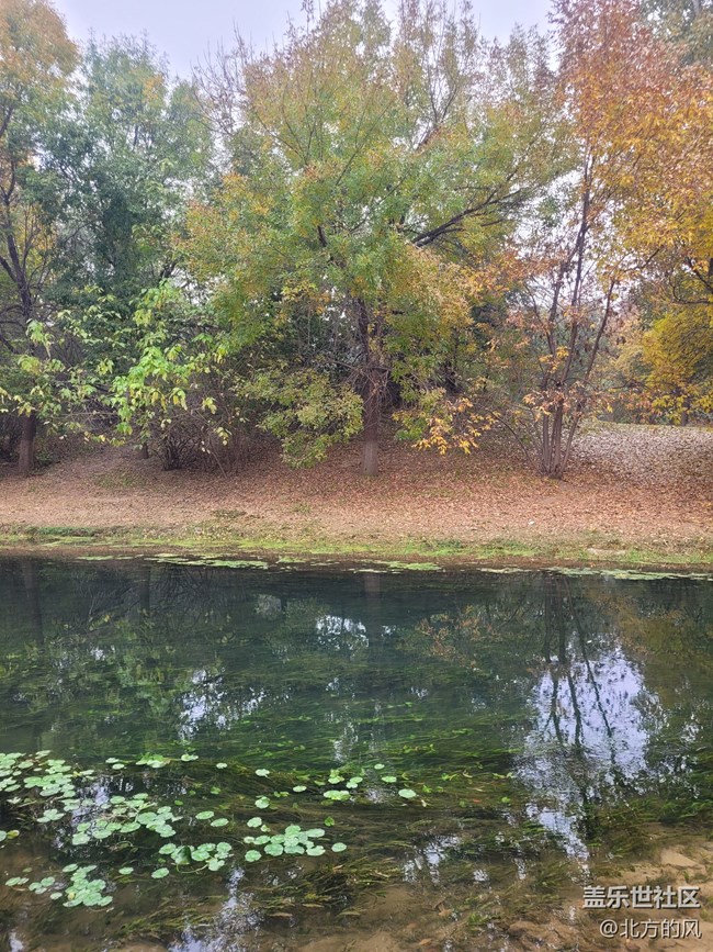 【奧森北園】+用三星手機(jī)留下北國的秋