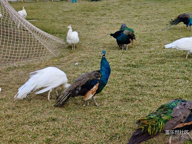 東北亞云端草原攝影活動回顧