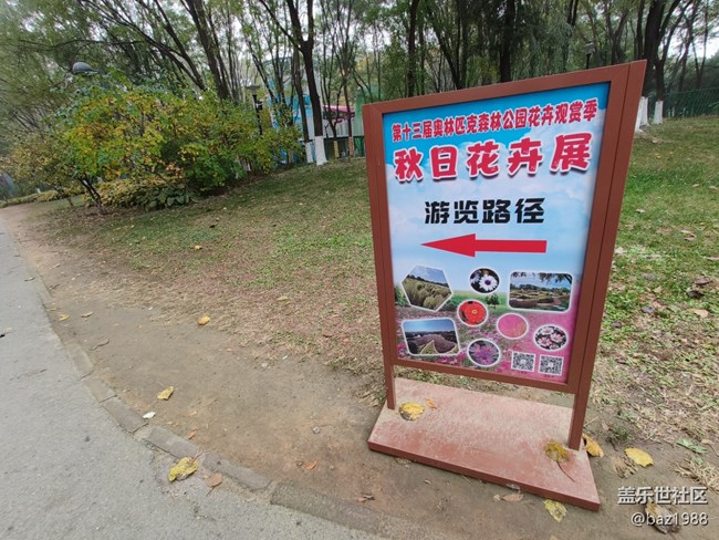 【奧森北園】+花海與燈光奧森