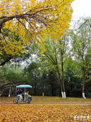 【我眼前的世界】+秋色滿園