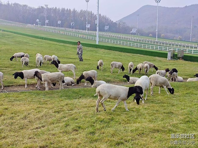 沈陽星部落云端草原行行攝攝活動回顧