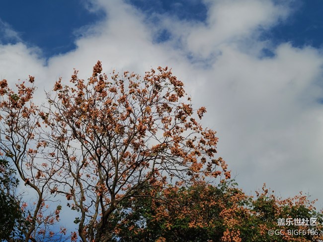 【十月的蜀國(guó)】+金秋十月