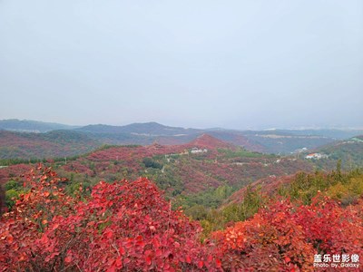 【我眼前的世界】秋葉紅