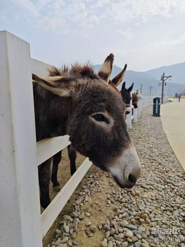 沈陽星部落云端草原行行攝攝活動回顧