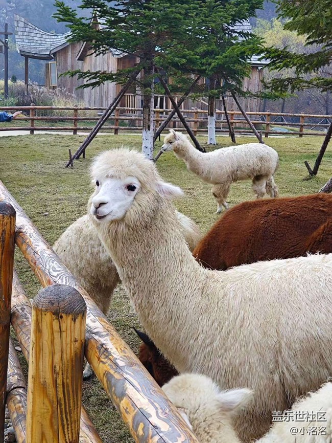 東北亞云端草原攝影活動回顧