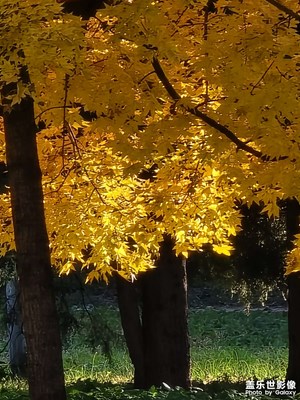 好天氣?好秋色＝好心情
