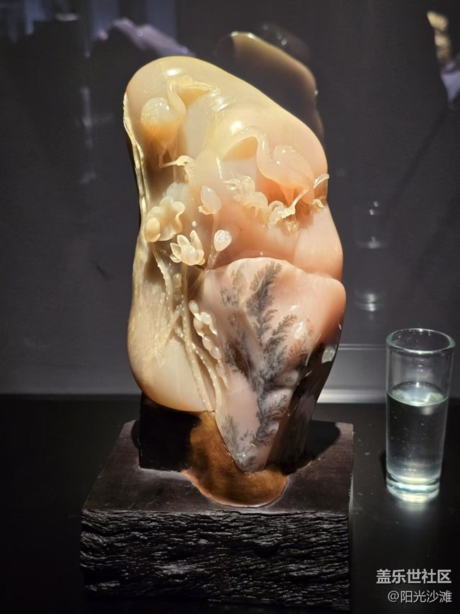 【我和我的祖國(guó)】 國(guó)之瑰寶 世界無(wú)雙