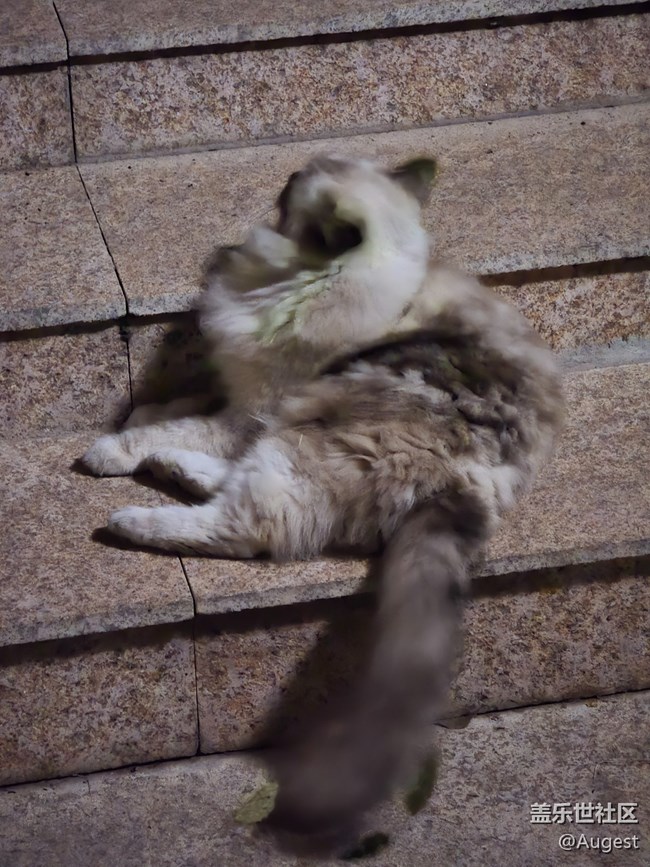 【秋韻養(yǎng)生】散步