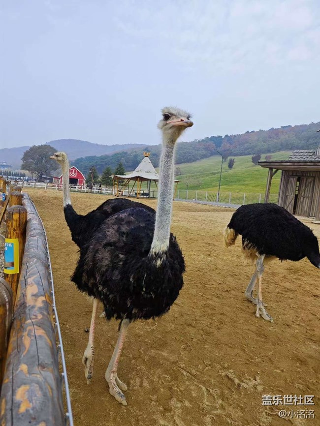 東北亞云端草原攝影活動回顧