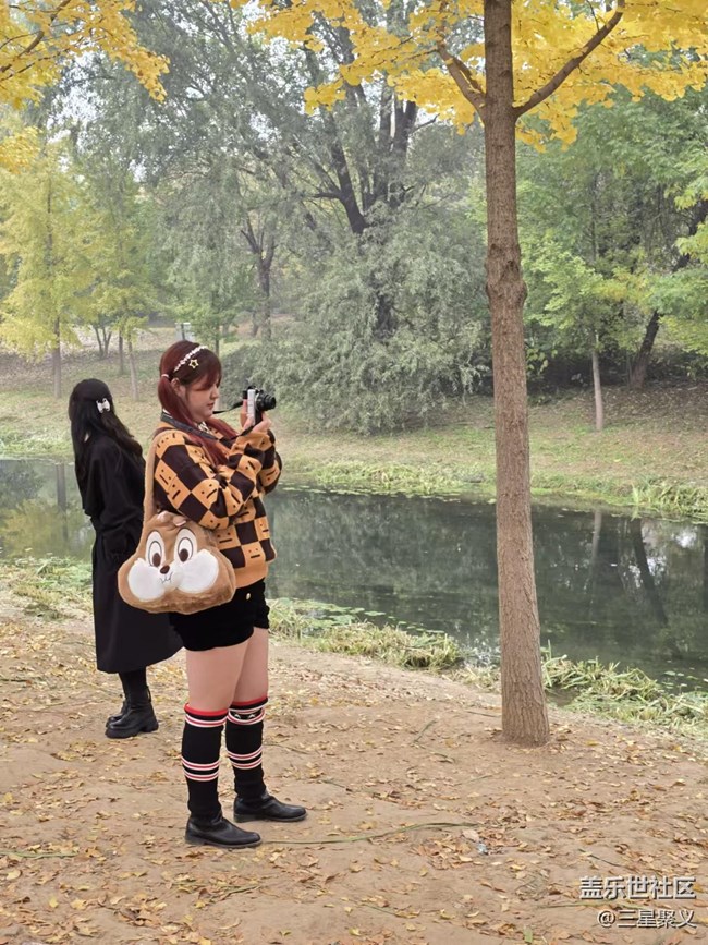 【我和我的祖國】賞秋的女孩們