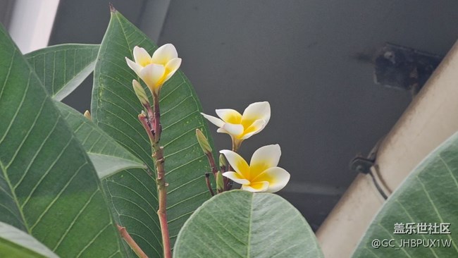 【AI智能攝影】十倍拍攝