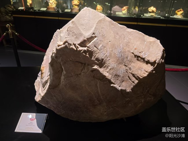 【我和我的祖國(guó)】 國(guó)之瑰寶 世界無雙