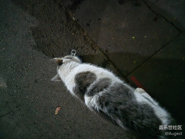 【秋韻養(yǎng)生】散步