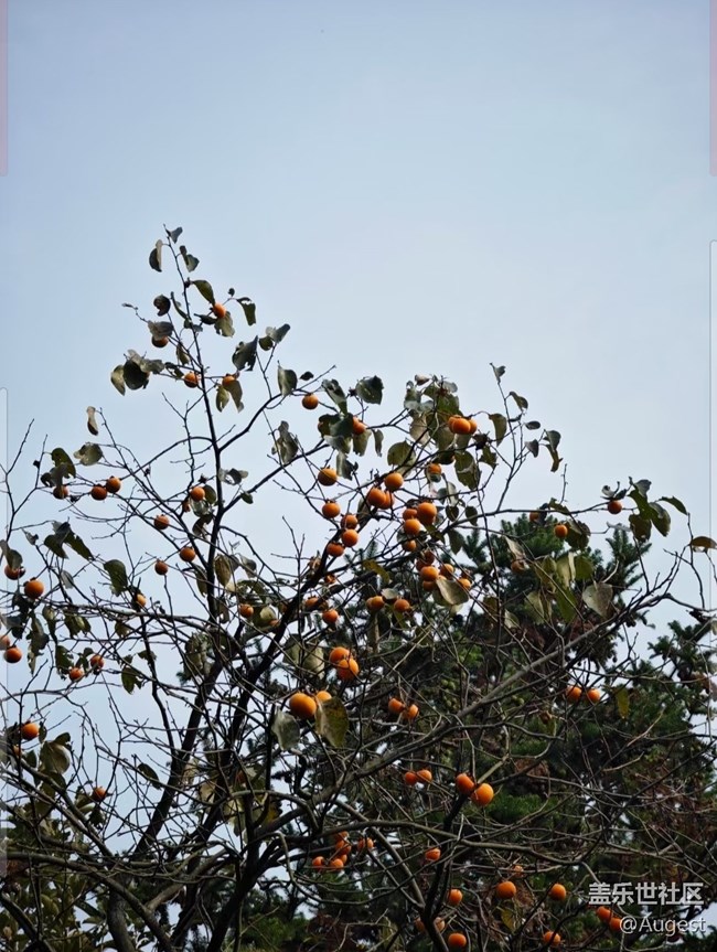 【秋韻養(yǎng)生】日常