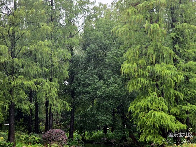 【上海植物園線下攝影活動】+植物園