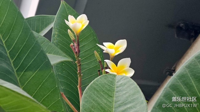 【AI智能攝影】十倍拍攝