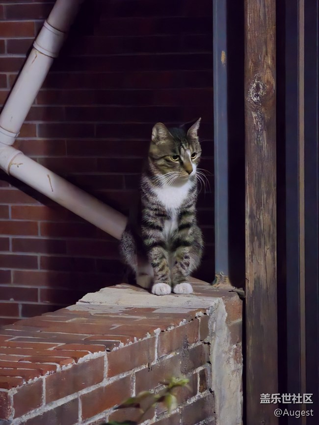 【秋韻養(yǎng)生】散步