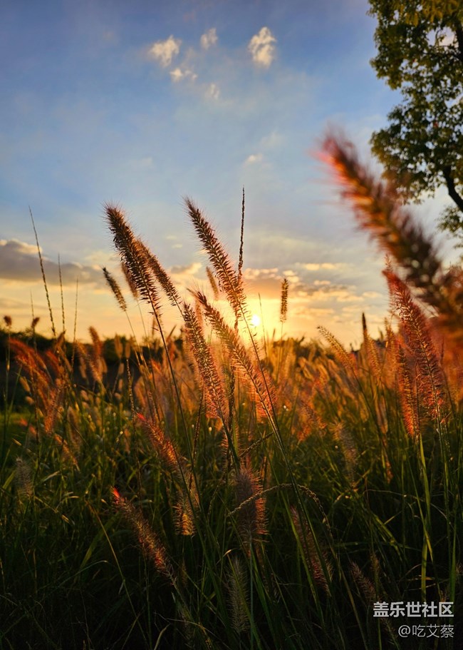 已開(kāi)獎(jiǎng)【Note版十一月第一周】我的攝影小技巧