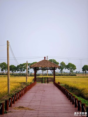 鄉(xiāng)下好風(fēng)光