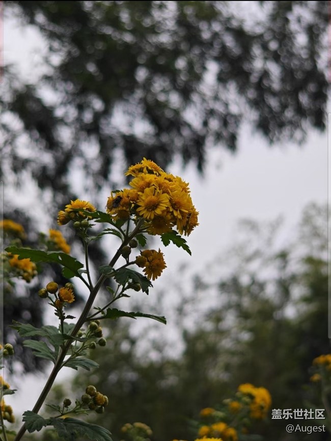 【秋韻養(yǎng)生】日常