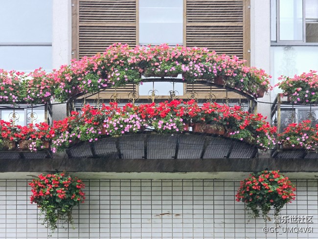 【上海植物園線下攝影活動】+植物園