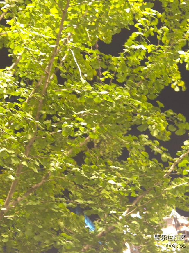 【秋韻養(yǎng)生】