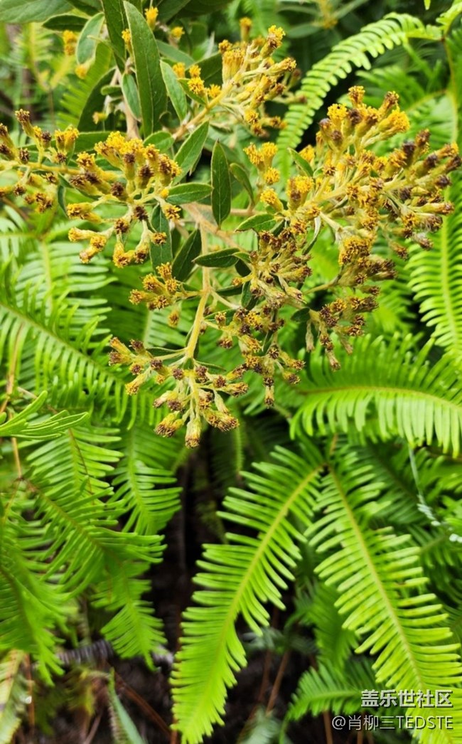 【最美秋色醉人心】秋景