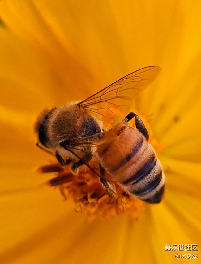 已開(kāi)獎(jiǎng)【Note版十一月第一周】我的攝影小技巧