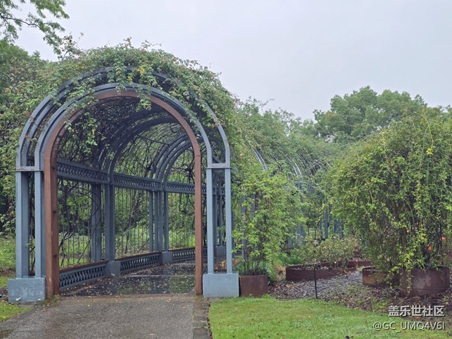 【上海植物園線下攝影活動】+植物園