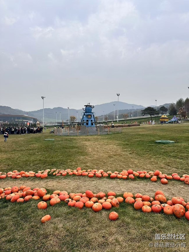 【回顧貼】抓住秋天的小尾巴，東北亞云端草原游