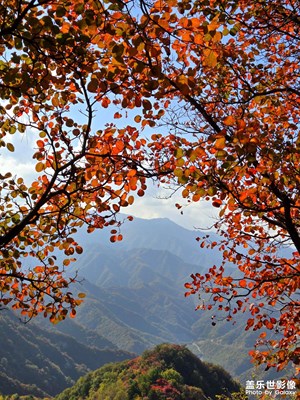 【我眼前的世界】+多彩的世界